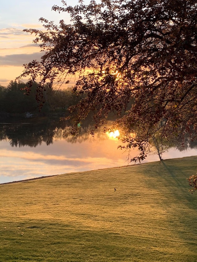 nature at dusk with a water view