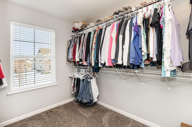 walk in closet featuring carpet flooring and visible vents
