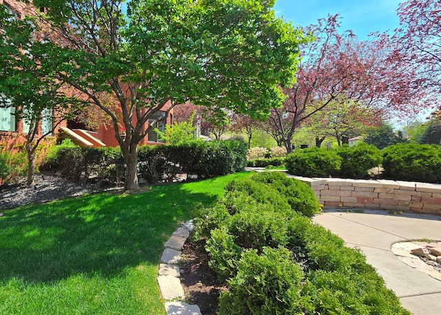 1600 Kenwood Pkwy, Minneapolis, MN 55405 - view of grassy yard