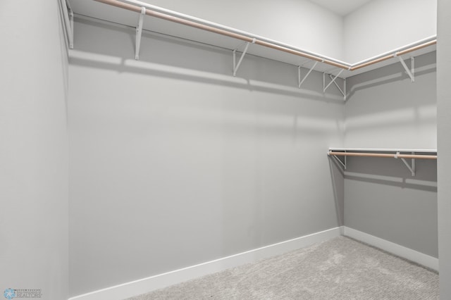 walk in closet featuring light colored carpet