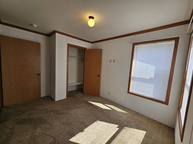 unfurnished bedroom with crown molding, dark colored carpet, and a closet