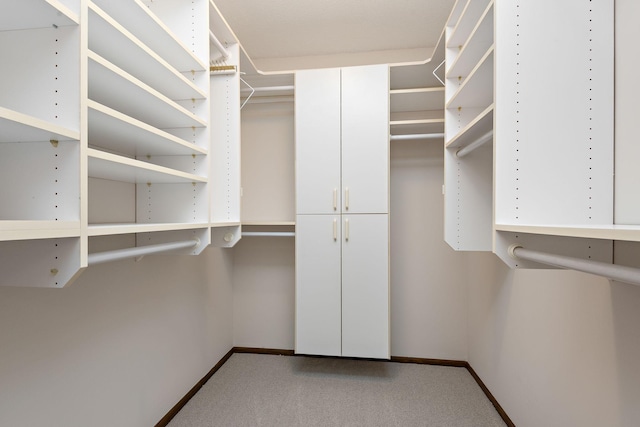 1021 Yuma Ln N, Plymouth, MN 55447 - walk in closet with carpet flooring