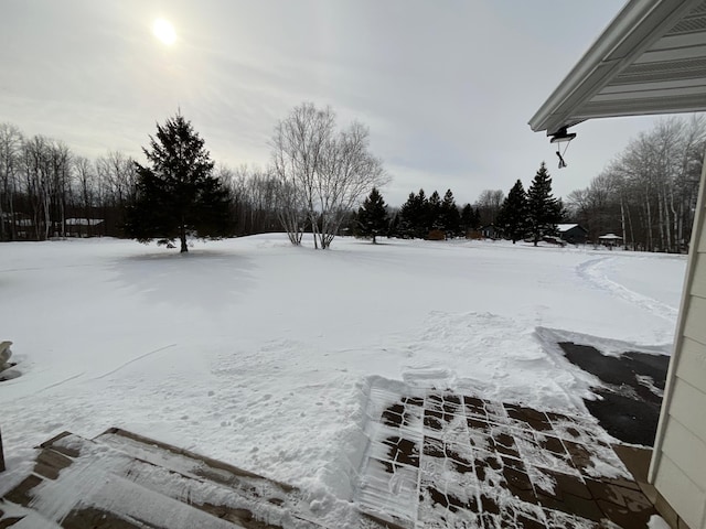 view of yard layered in snow