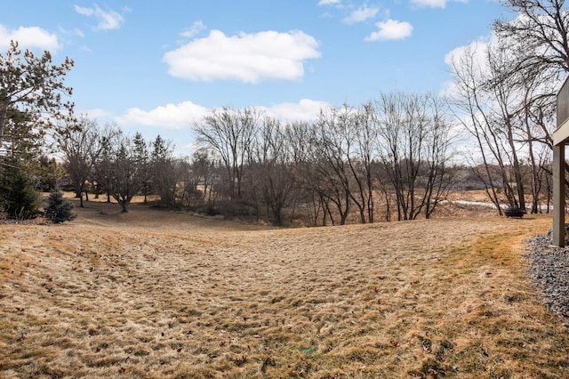 view of local wilderness