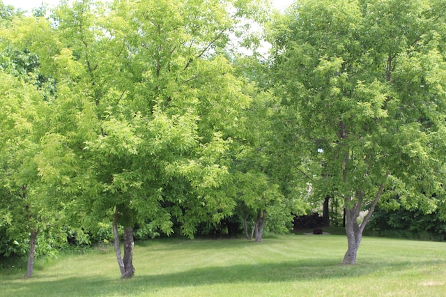 34306 Twin Island Ln, Edna Twp, MN 56528 - photo 34