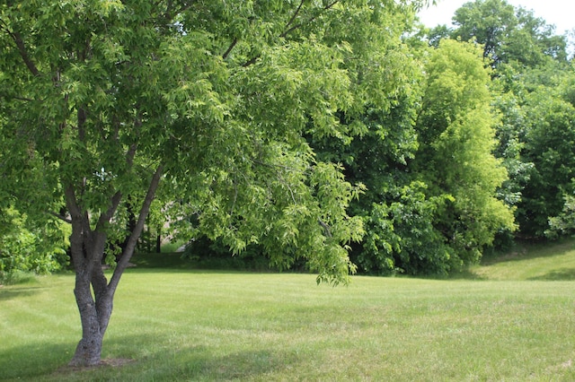 34306 Twin Island Ln, Edna Twp, MN 56528 - photo 35