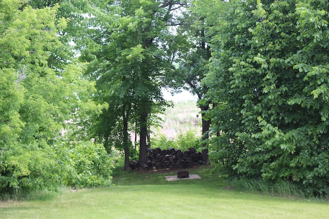 34306 Twin Island Ln, Edna Twp, MN 56528 - photo 36