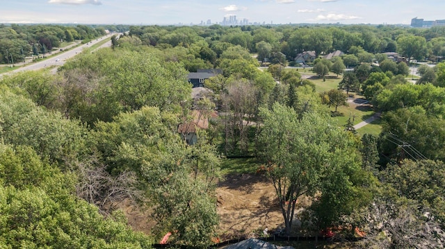 aerial view