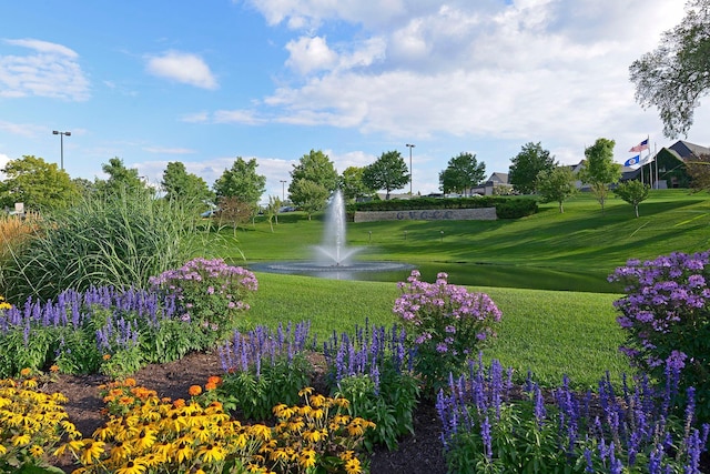 view of home's community featuring a water view and a lawn