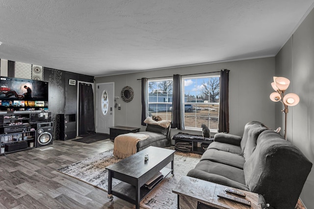 27939 Forest Blvd, Wyoming, MN 55092 - living room with wood finished floors and a textured ceiling
