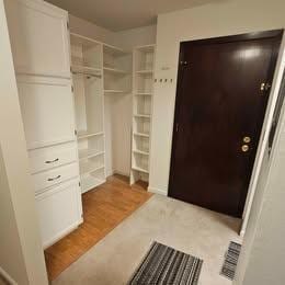 walk in closet with wood finished floors