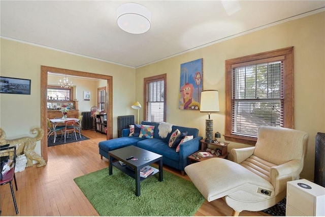 living room with a notable chandelier, crown molding, radiator heating unit, and wood finished floors