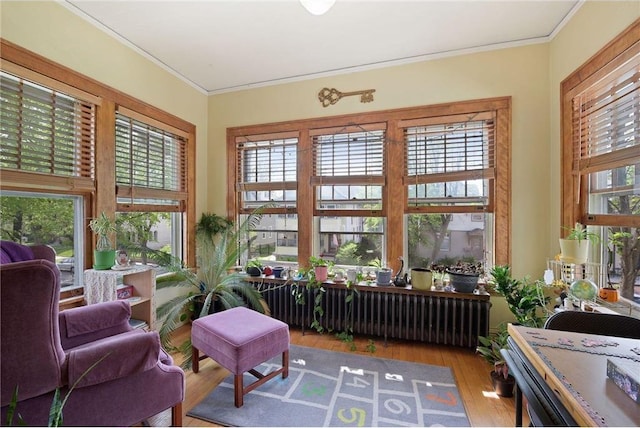 sunroom with radiator heating unit