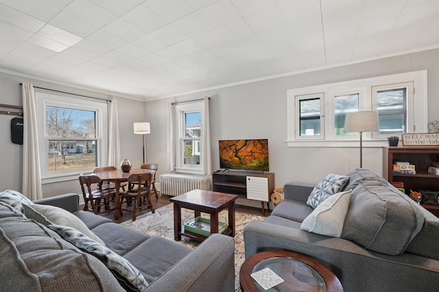 living area featuring wood finished floors, radiator, and ornamental molding