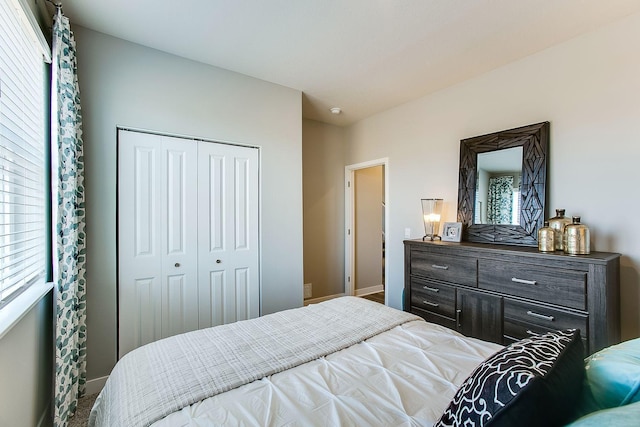 4601 Percheron Blvd, Chaska, MN 55318 - bedroom featuring a closet, baseboards, and multiple windows