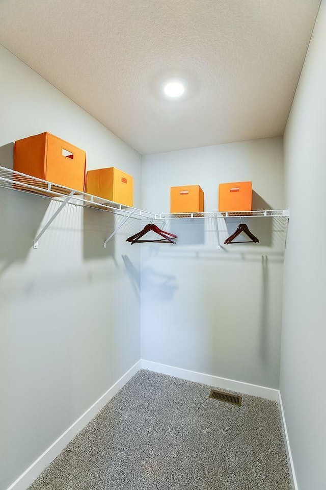 4601 Percheron Blvd, Chaska, MN 55318 - spacious closet with visible vents and carpet floors