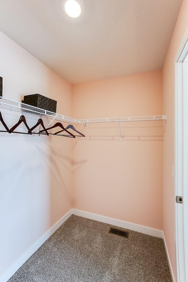 4601 Percheron Blvd, Chaska, MN 55318 - walk in closet with carpet floors and visible vents