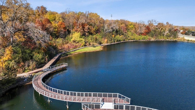 4601 Percheron Blvd, Chaska, MN 55318 - exterior space featuring a water view and a forest view
