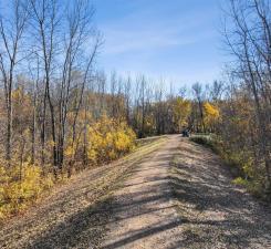 4601 Percheron Blvd, Chaska, MN 55318 - view of street with a forest view