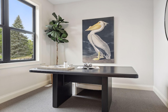 interior space featuring carpet and baseboards