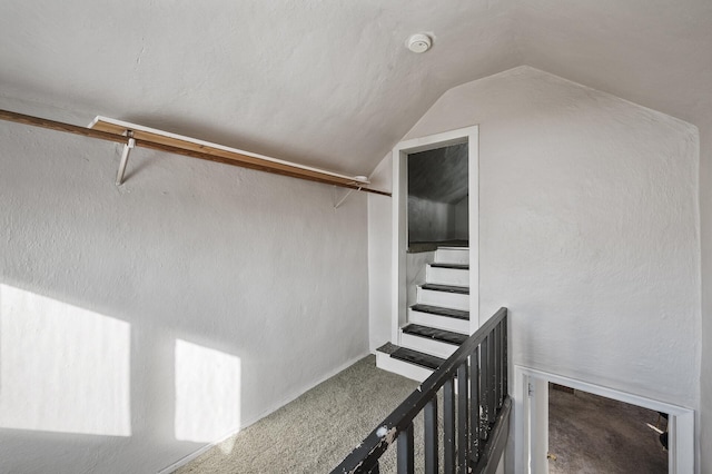 walk in closet featuring lofted ceiling and carpet