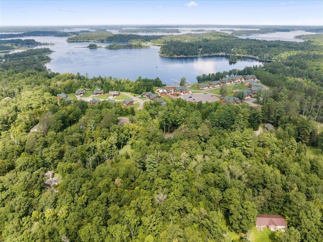 bird's eye view with a view of trees and a water view