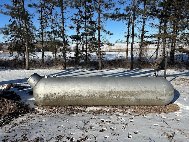 view of yard layered in snow