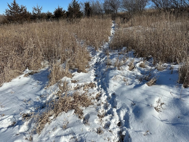 view of snowy landscape