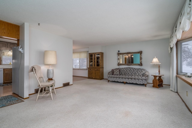 interior space featuring light carpet, baseboards, and a healthy amount of sunlight