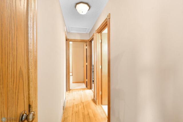 corridor featuring baseboards, a textured ceiling, attic access, and light wood finished floors