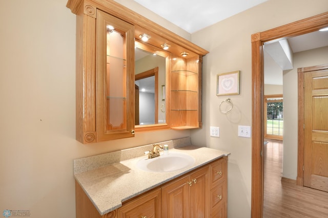 bathroom with vanity and wood finished floors