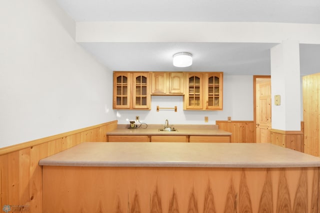 kitchen with wooden walls, glass insert cabinets, light countertops, wainscoting, and a sink