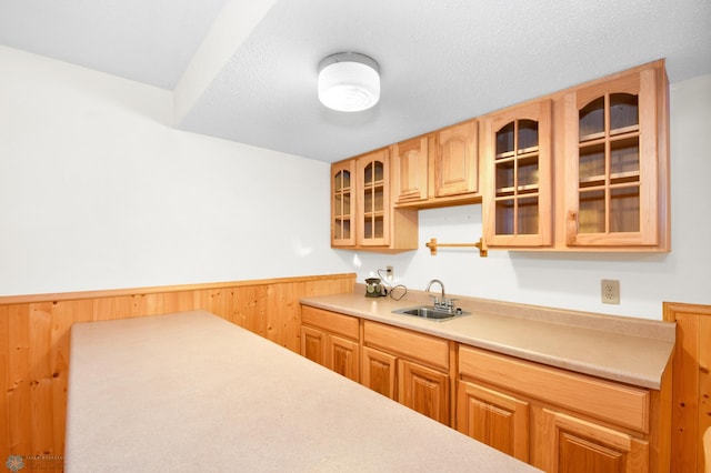 kitchen featuring wooden walls, a sink, light countertops, glass insert cabinets, and wainscoting