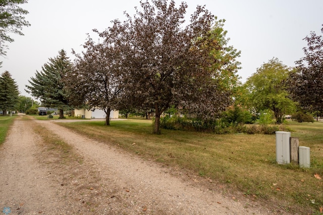 view of street featuring driveway