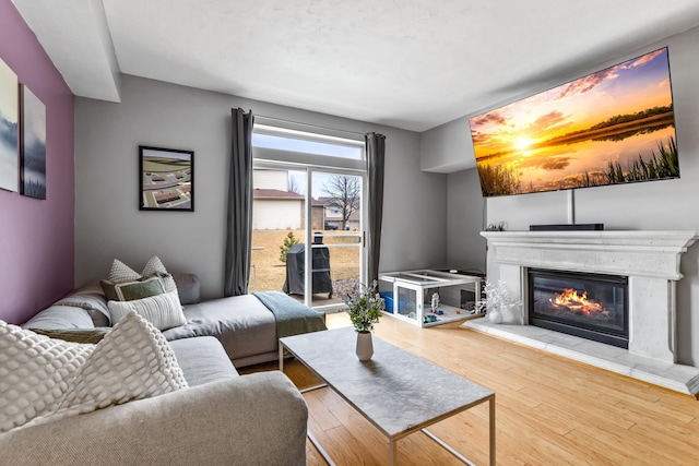 living area with a fireplace and wood finished floors