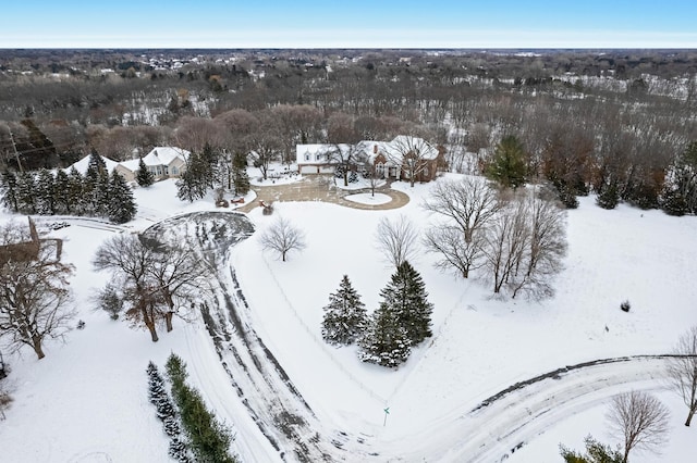 view of snowy aerial view