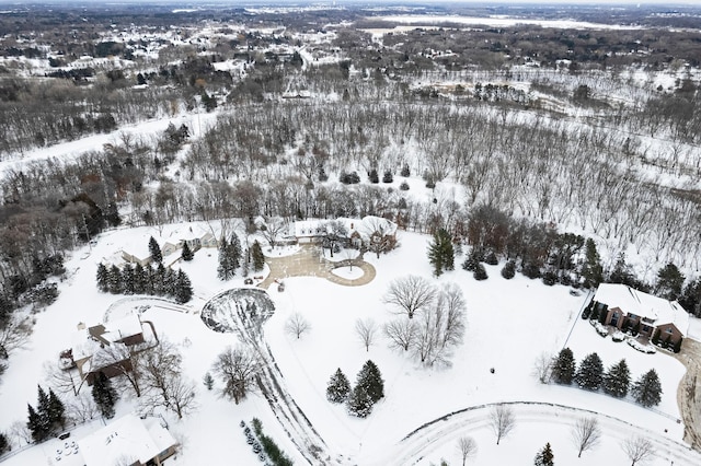 view of snowy aerial view