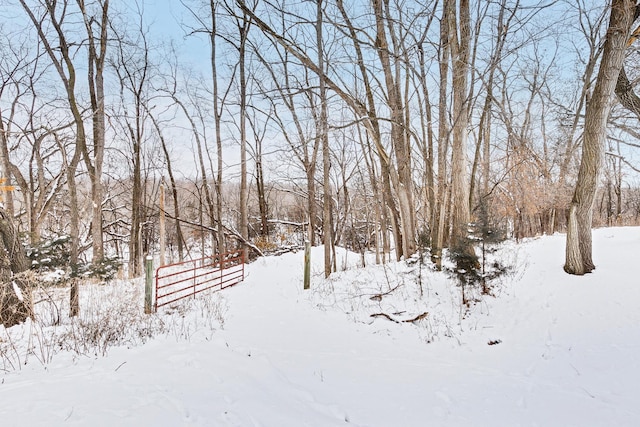 view of snowy yard