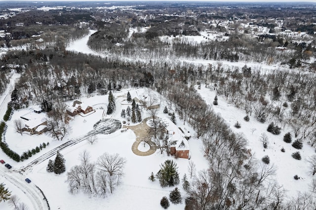 view of snowy aerial view