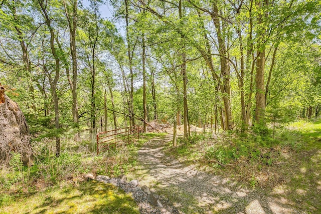 4680 152nd Ct NW, Ramsey, MN 55303 - view of wooded area