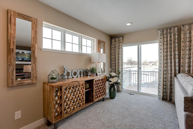 wine area with carpet, visible vents, plenty of natural light, and a textured ceiling