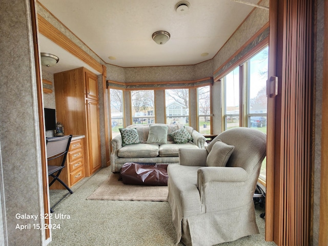 living area featuring light colored carpet