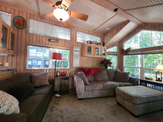 2945 County Road 4 SW Unit 65, Cokato, MN 55321 - photo 42