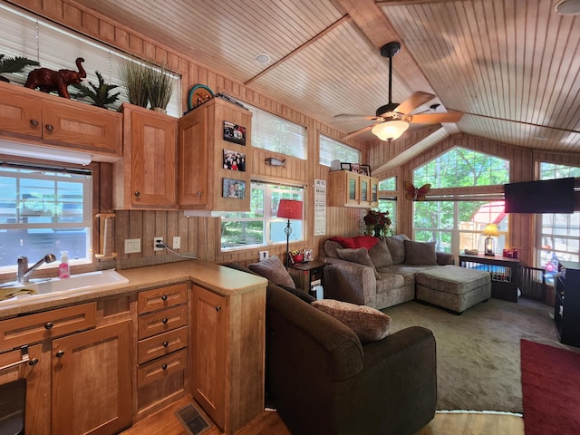 2945 County Road 4 SW Unit 65, Cokato, MN 55321 - photo 2