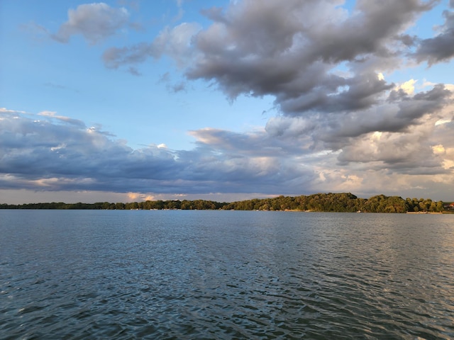 2945 County Road 4 SW Unit 236, Cokato, MN 55321 - water view
