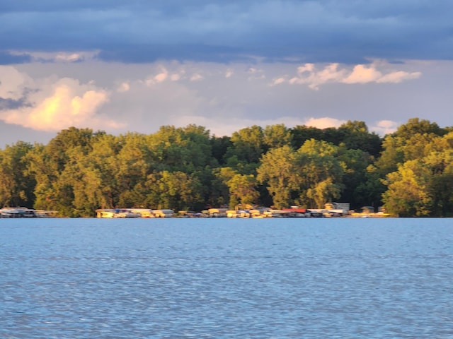 2945 County Road 4 SW Unit 236, Cokato, MN 55321 - water view featuring a heavily wooded area