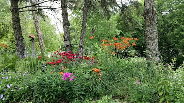 2945 County Road 4 SW Unit 236, Cokato, MN 55321 - view of nature