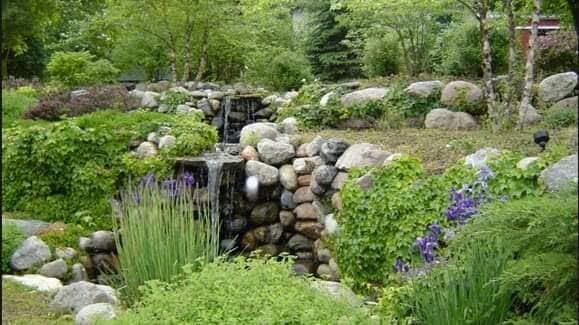 2945 County Road 4 SW Unit 236, Cokato, MN 55321 - view of yard featuring a wooded view