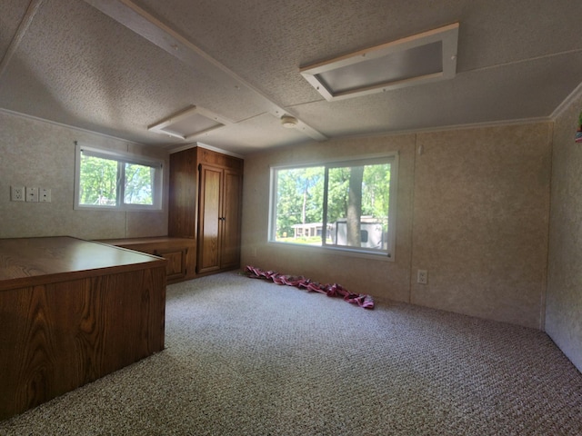 2945 County Road 4 SW Unit 118, Cokato, MN 55321 - empty room with attic access, light carpet, a textured ceiling, and vaulted ceiling