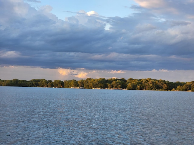 2945 County Road 4 SW Unit 118, Cokato, MN 55321 - water view
